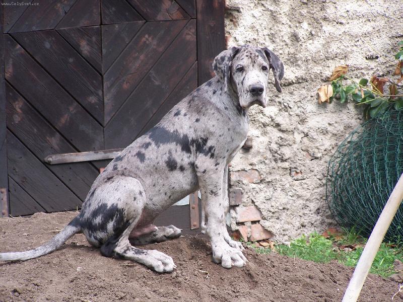 Foto: IGOREK-4 m�s�ce