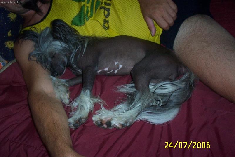 Foto: Ice-N� mazl�k Ice