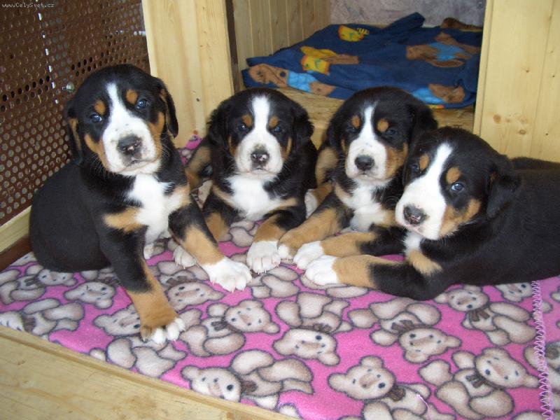 Foto: �T���TKA