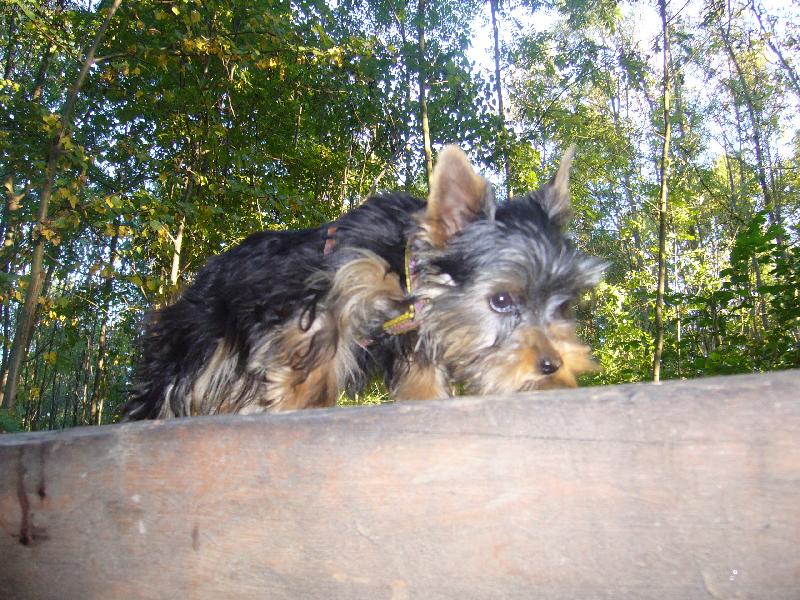 Foto: hmm p�kn�....