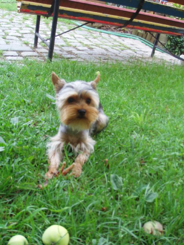 Foto: Terinka.-Kuk na p�n��ky!