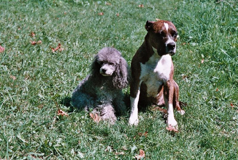 Foto: Podzimn� siesta