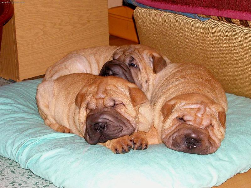 Foto: �t��ata - 7 t�dn�