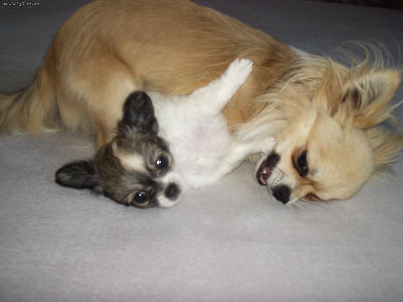 Foto: Relax-Derek JRS a Balantines Excalibur Europa