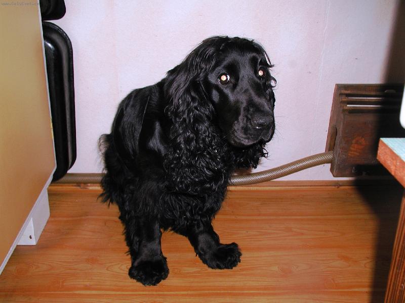 Foto: J� jsem ty p�rky nesn�dla