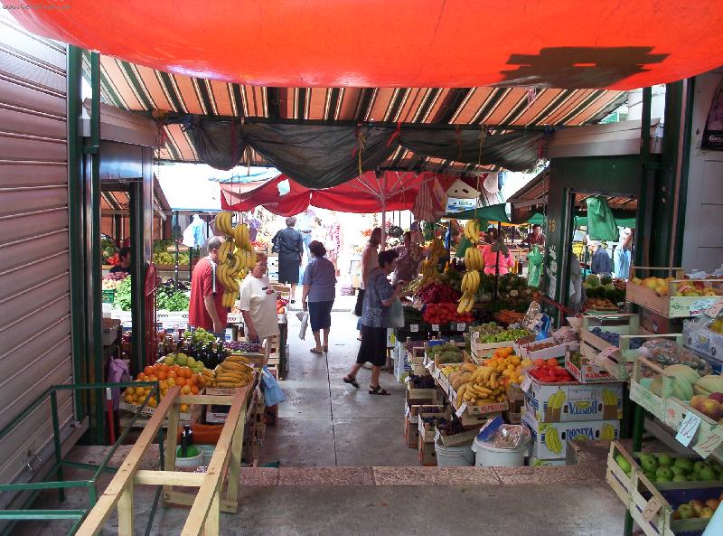 Foto: tr�i�t�-p�i prohl�dce makarsk�