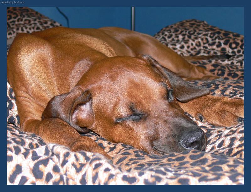 Foto: Kr�sn� sny!!!!