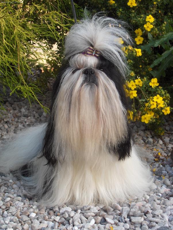 Foto: Iv�nek z Ivafre