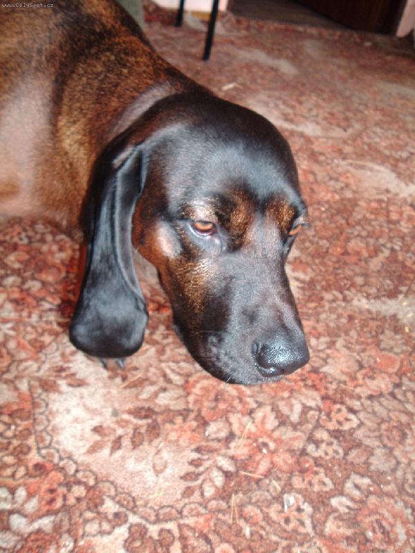 Foto: chci se sezn�mit