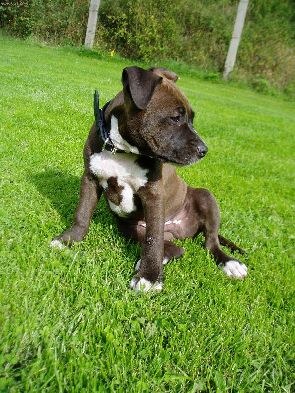 Foto: Coffee Cup Staff Komas-N�e miminko ve 2 m�s�c�ch