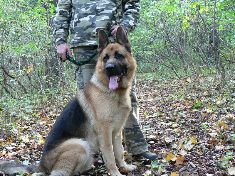 Foto: Quast�k-p��tel na kter�ho je spoleh...