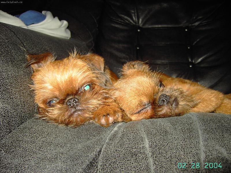 Foto: nase stesticka