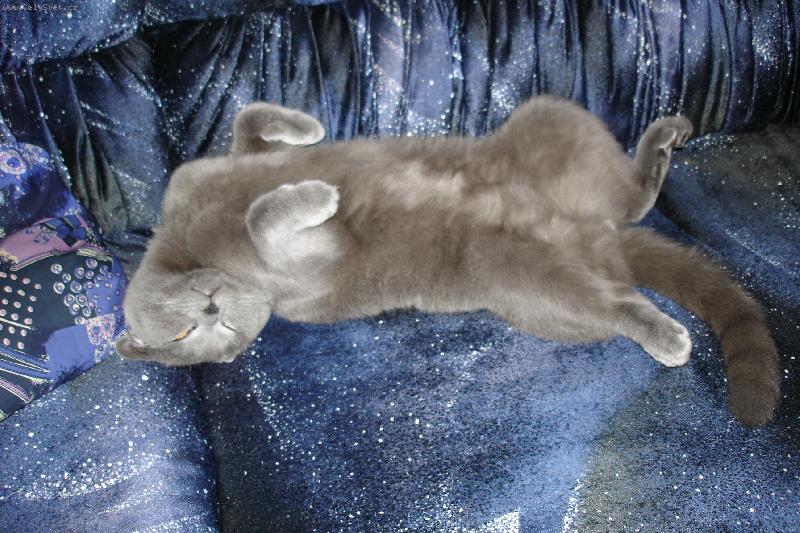 Foto: Arn�ek-Chlad�m se pod ventil�torem