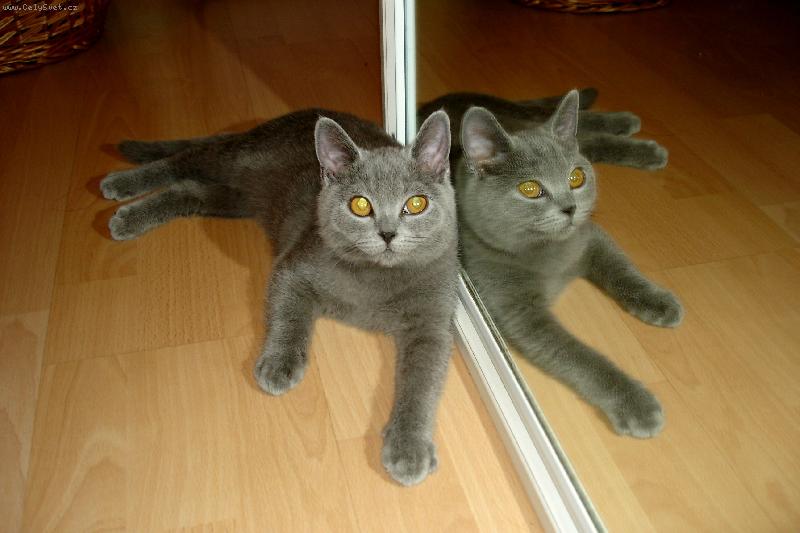 Foto: Arnee-Kolik n�s tady je? :-))