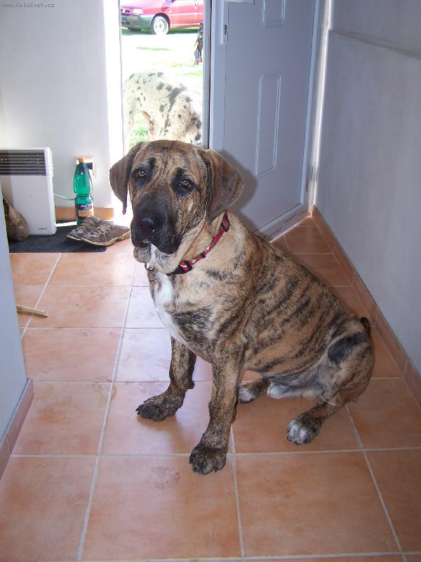 Foto: FID�K-Bude mi 7 m�s�c�