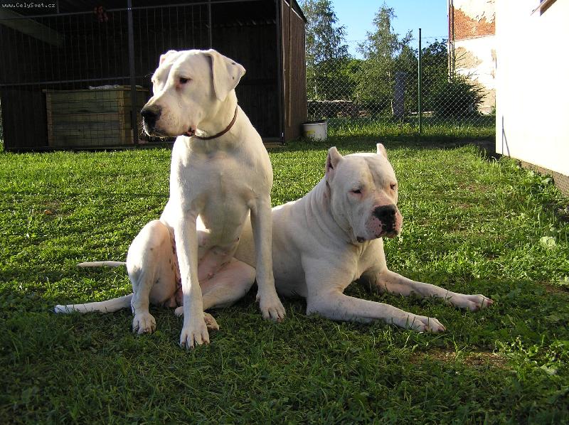 Foto: Jacinta a Ricardo