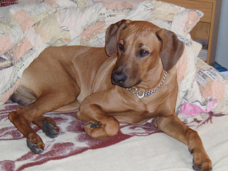 Foto: Odpo�inek v post�lce