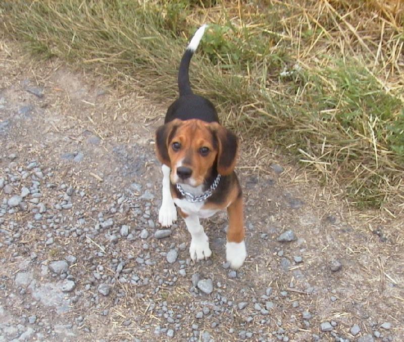 Foto: Proch�zka p��rodou