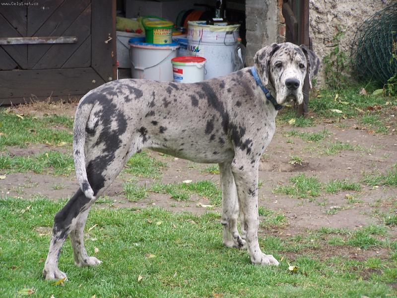 Foto: Dnes je mi 6 m�s�c�-IGOREK