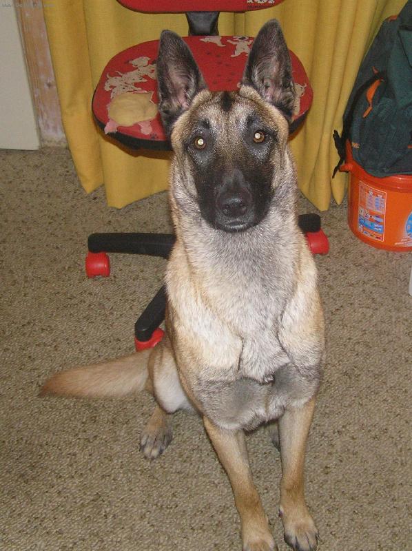 Foto: Arinka-ta ale hezky sed�, co?