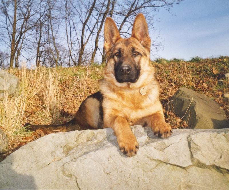 Foto: Feja ciha na ryby