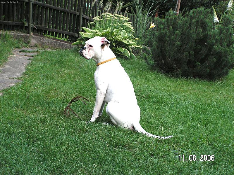 Foto: j� taky kouk�m