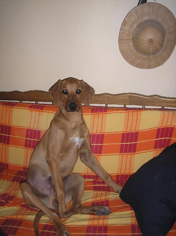 Foto: Kofi - pozorovatel