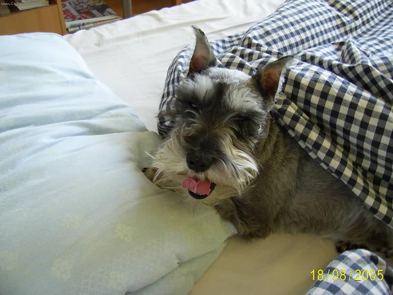 Foto: Nelinka-chci je�t� sp�t