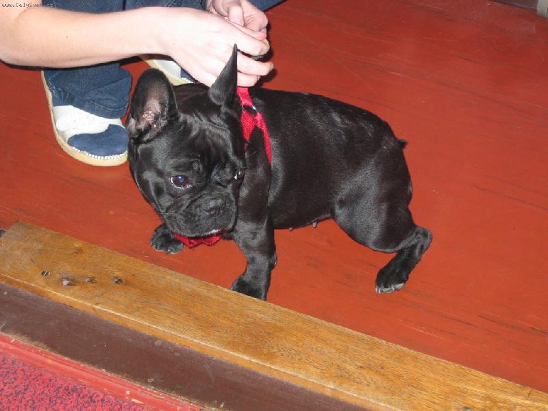 Foto: Baru�ka rok a p�l