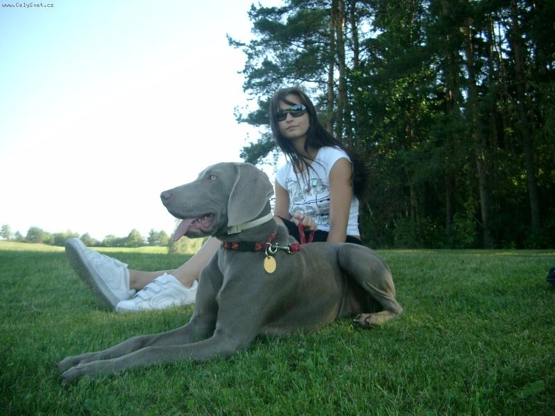 Foto: P�za a cvak...-Krasavice inteligentn�... Ta vep�edu ;-)