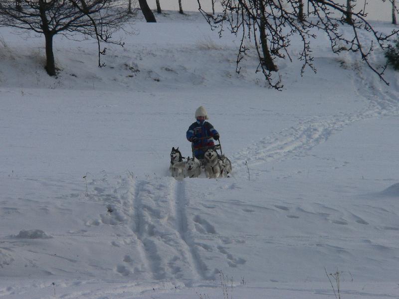 Foto: Sme�ka-Jedem