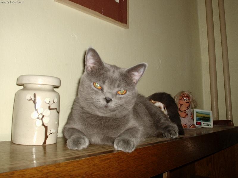 Foto: Na�e pohodov� Bukynka