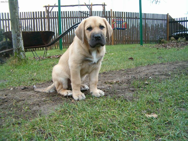 Foto: C�zar-Je mi 10 t�dn�