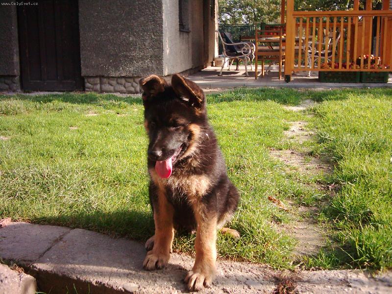 Foto: Mal� Britek-Je moc p�kn�