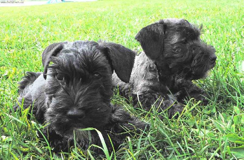 Foto: �t���tka �T st��� 3 m�s�ce