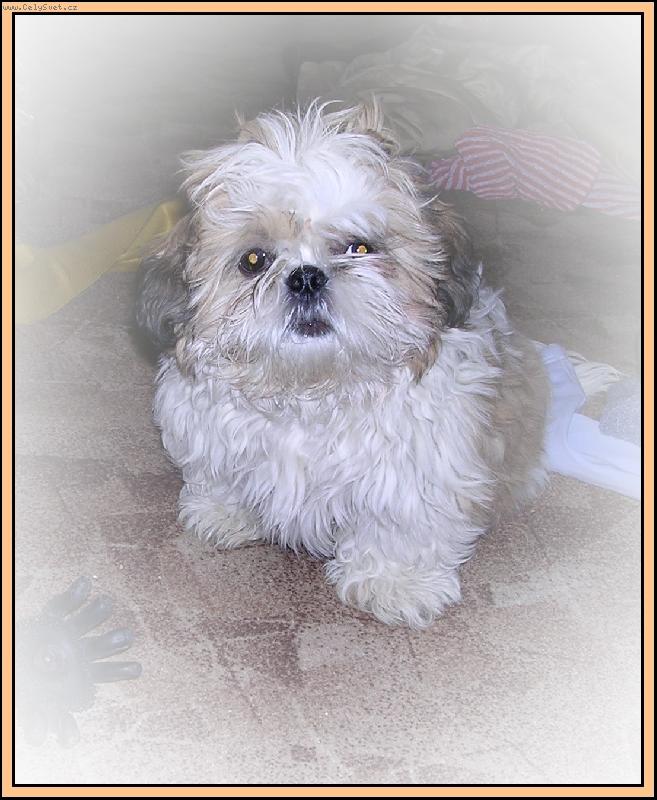 Foto: Katty-malej ��bl�k