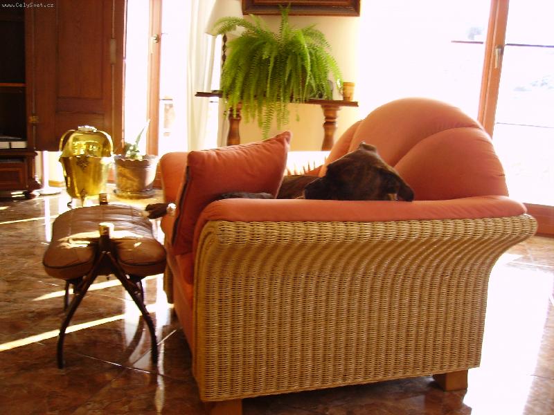 Foto: mil��ek Ozzy