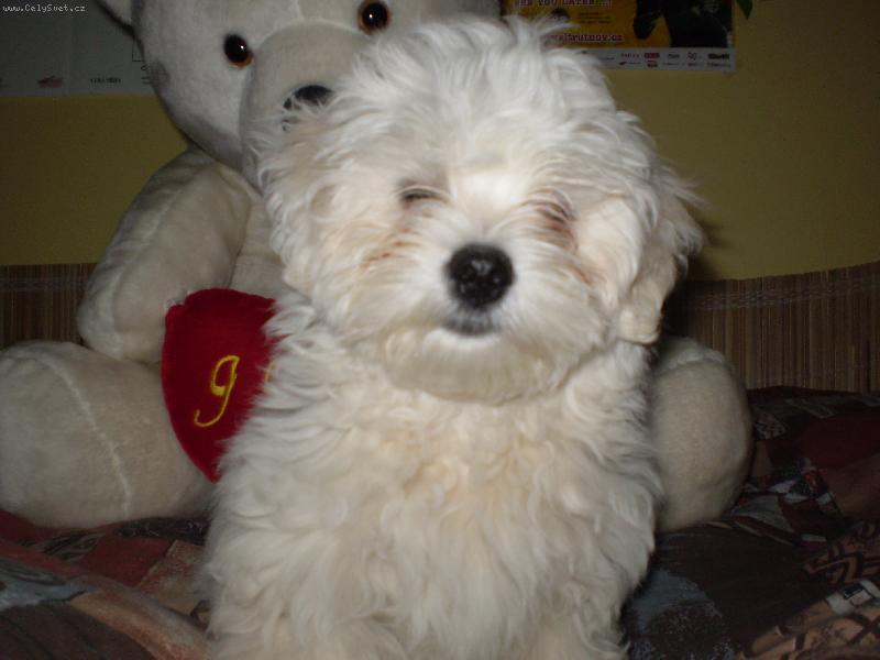 Foto: 3 m�s��n� Mont��ek:)