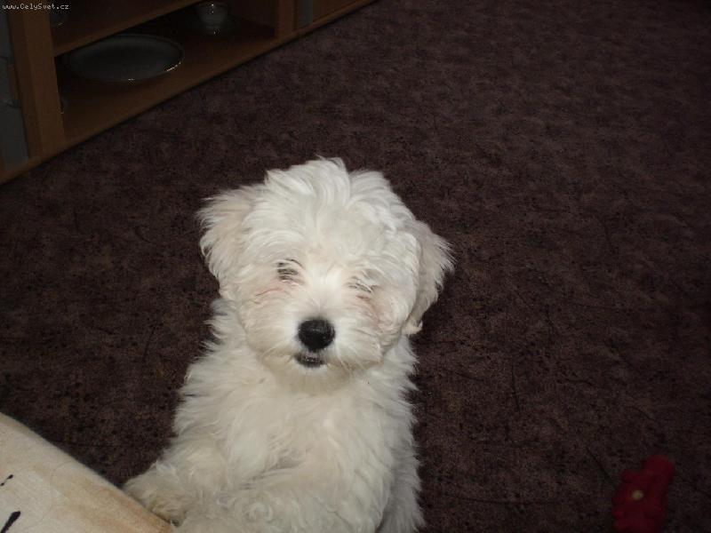 Foto: Co to tam d�l�?