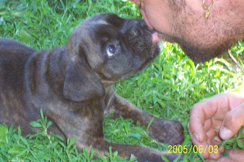 Foto: PRVN� PUSINKA