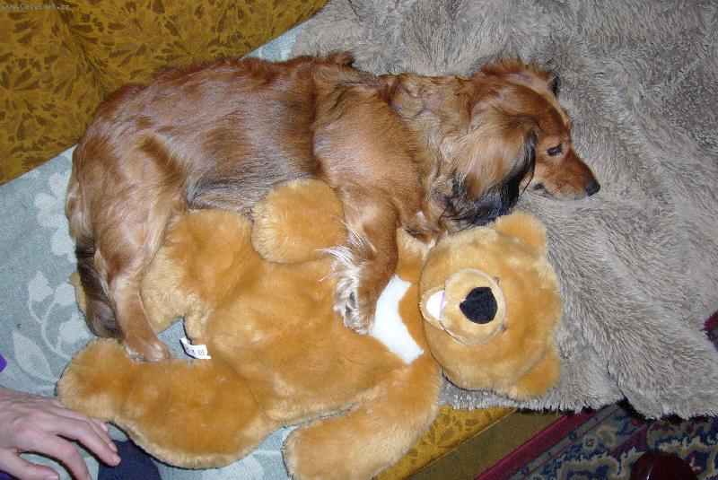 Foto: Terezka s m��ou