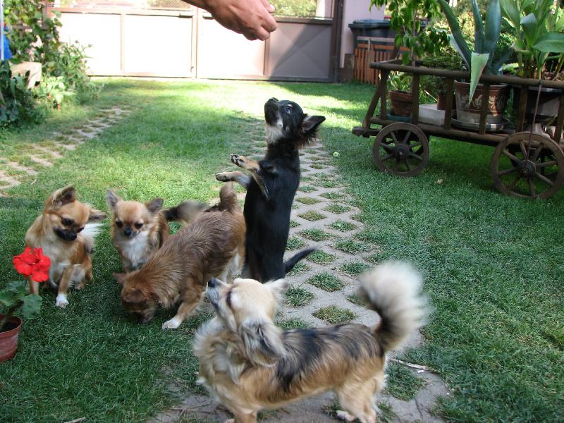 Foto: J� jsem nejv�t��.