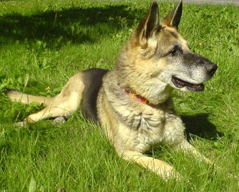 Foto: Jessynka-P�za :-D