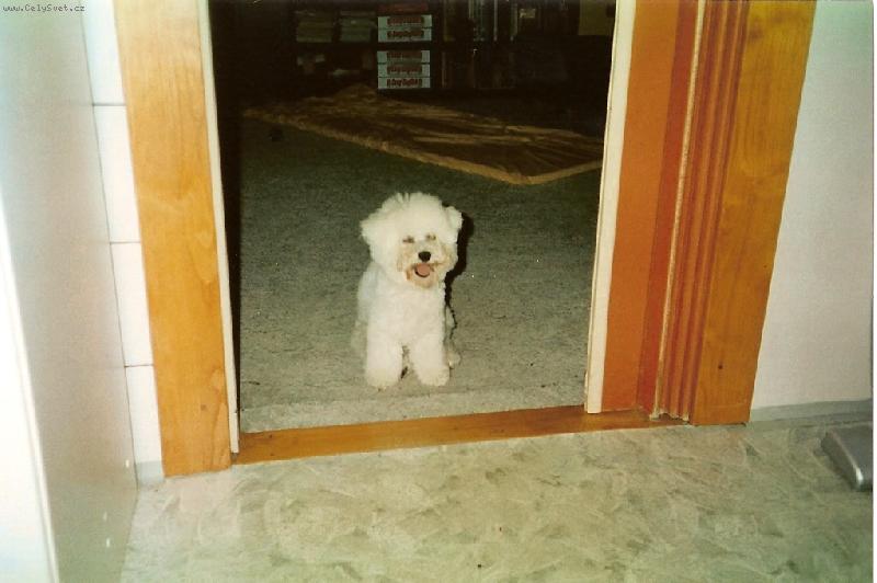 Foto: hl�da�-...st�j nebo t� ul�z�m...