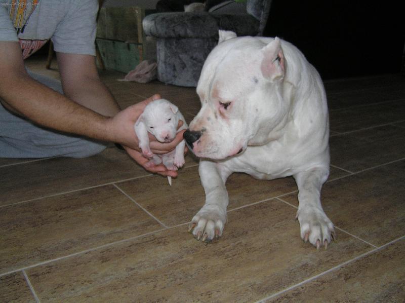 Foto: Ricardo s dcerou \"C\"