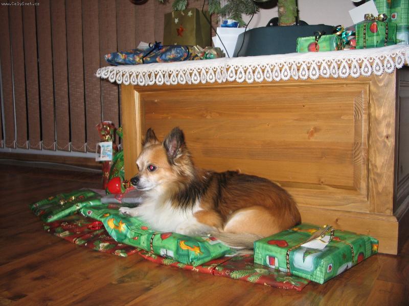 Foto: d�rek od Je��ka