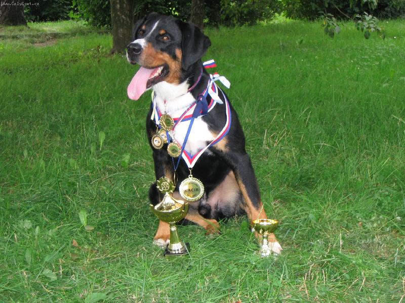 Foto: Arcos z Tich�ho �dol�