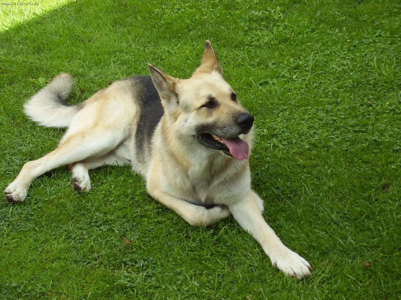 Foto: Bad-to je n� kamar�d