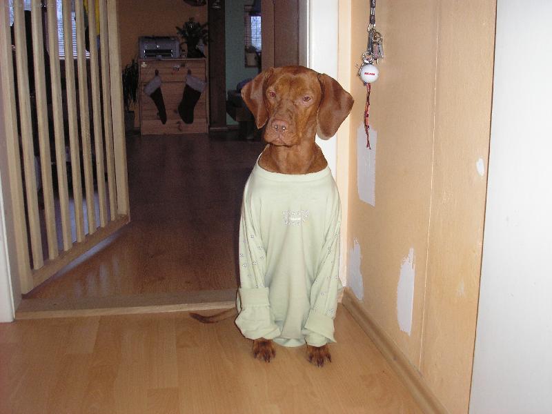 Foto: Tessinka v py�amu