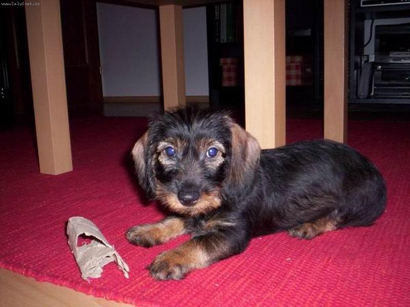 Foto: Nelly-malej s�gr